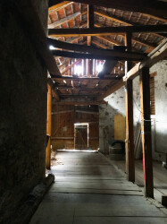 06_IMG_5363
