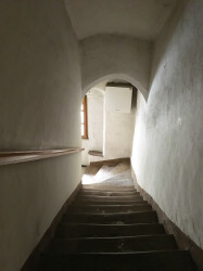07_IMG_5446